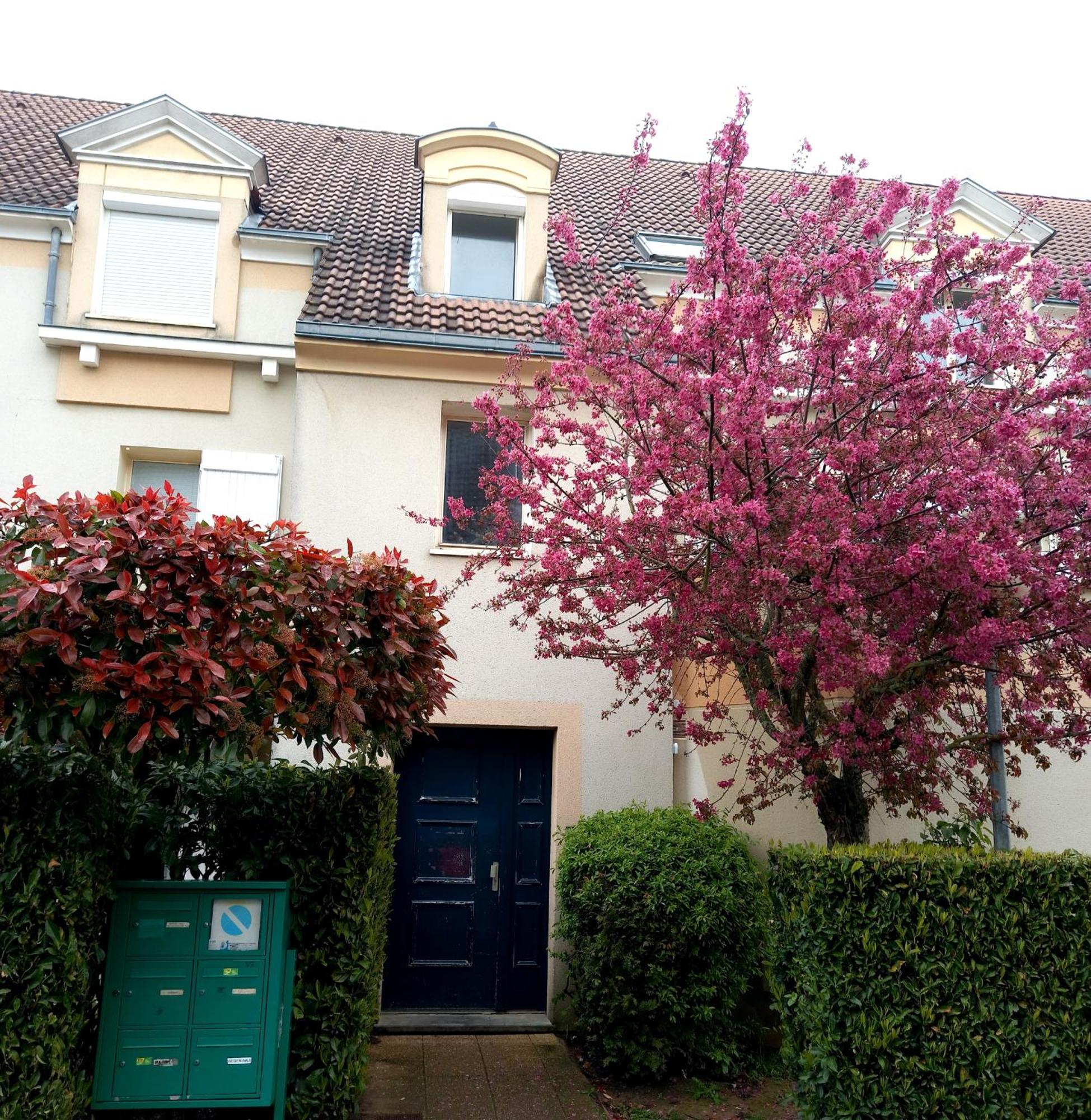 Location Chambre Double Dans Appartement - Cergy Extérieur photo